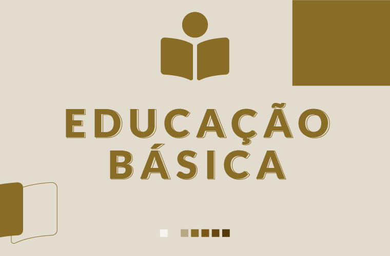 Percepção dos professores da escola de educação básica