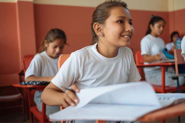 Estado del Arte: Uso de Resultados de las Pruebas de Aprendizaje en el Diseño de las Políticas Educativas